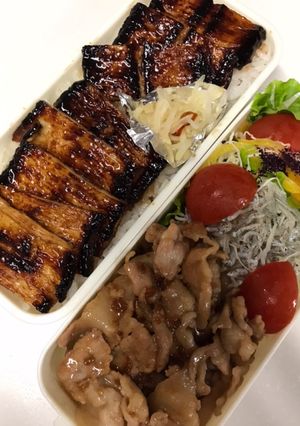 竹輪で蒲焼お弁当……。-レシピのメイン写真