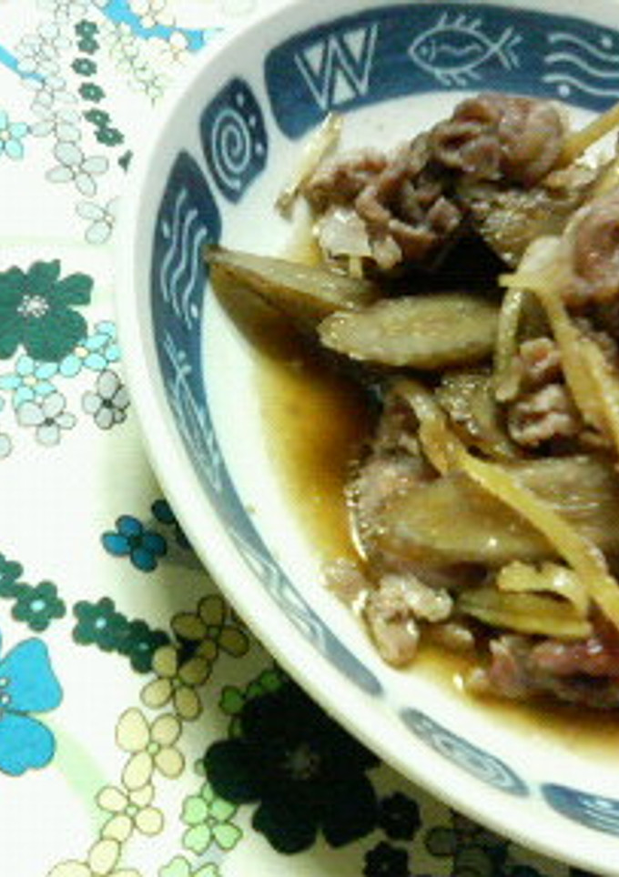 定番♪♪✿ごぼうと豚肉の❀煮物✿-レシピのメイン写真