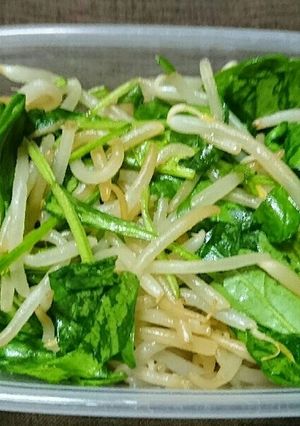 もやしとサラダほうれん草のポン酢サラダ-レシピのメイン写真