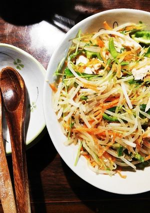 茹でもやしたっぷり野菜ナムル★☆-レシピのメイン写真
