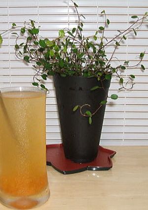 杏＆ハチミツの簡単サワードリンク-レシピのメイン写真