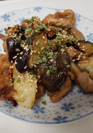 豚こま肉と茄子とキャベツの生姜焼き-レシピのメイン写真