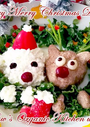 メリーメリークリスマスディナー☆犬ごはん-レシピのメイン写真