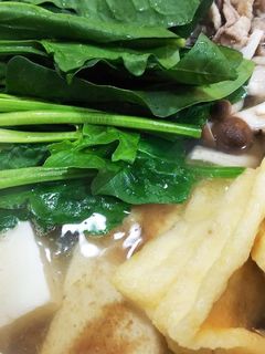 肉入り湯豆腐(かつお節入り)-レシピのメイン写真