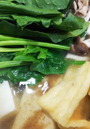 肉入り湯豆腐(かつお節入り)-レシピのメイン写真