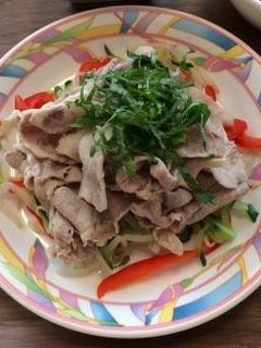 豚しゃぶサラダ(透析食)-レシピのメイン写真