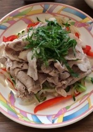豚しゃぶサラダ（透析食）-レシピのメイン写真