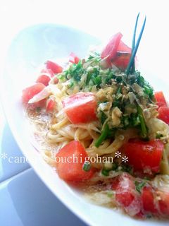 和。 トマトの冷製パスタ-レシピのメイン写真