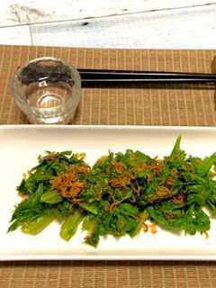 わさび菜と干しえびの塩炒め☆仕上げごま油-レシピのメイン写真