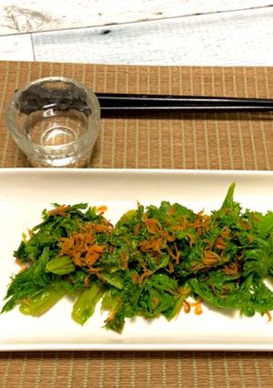 わさび菜と干しえびの塩炒め☆仕上げごま油-レシピのメイン写真