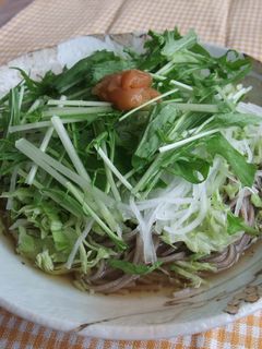 梅味でさっぱり!冷やしそば-レシピのメイン写真