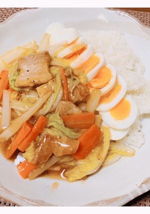 白菜と豚肉の餡掛けごはん-レシピのメイン写真