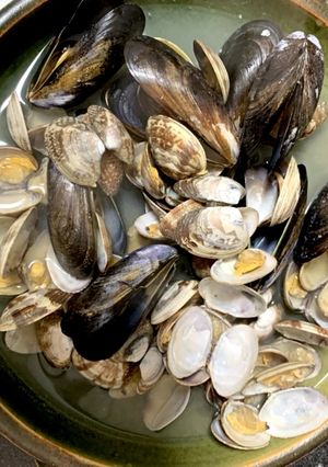 アサリとムール貝のワイン蒸し-レシピのメイン写真