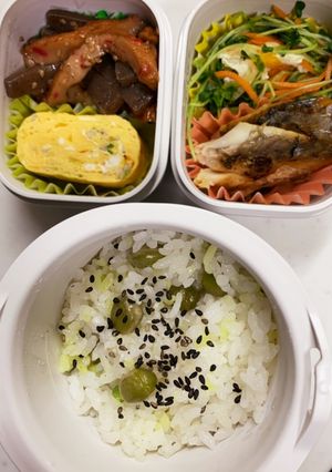 お弁当…ダンナ編★-レシピのメイン写真