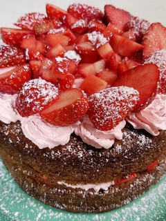2019☆クリスマスケーキ-レシピのメイン写真