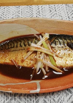 失敗しない!柔らか鯖の味噌煮-レシピのメイン写真