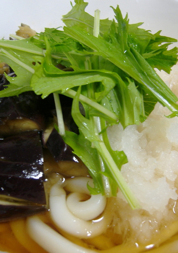 蒸しなすと大根おろしの簡単ぶっかけうどん-レシピのメイン写真