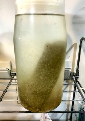 いりこ出汁 魚、生臭くないです。^_^-レシピのメイン写真