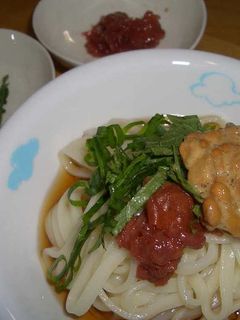 さっぱり♪トロトロ納豆冷やしうどん-レシピのメイン写真