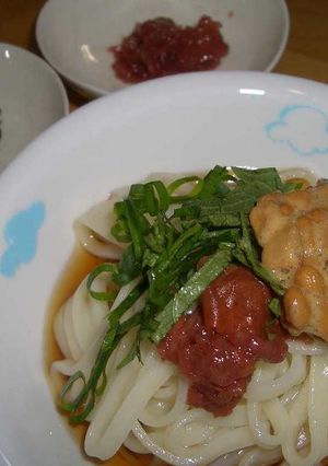 さっぱり♪トロトロ納豆冷やしうどん-レシピのメイン写真