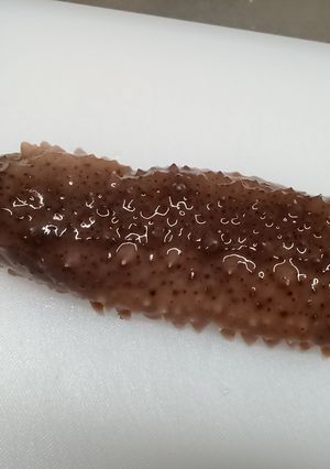 なまこ酢-レシピのメイン写真