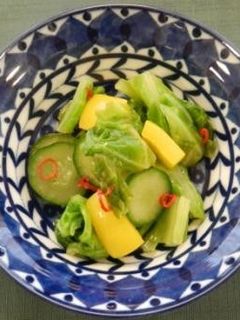 野菜ピクルス(透析食)-レシピのメイン写真