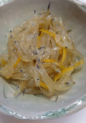 黄金熟成！シラウオの柚子昆布〆-レシピのメイン写真