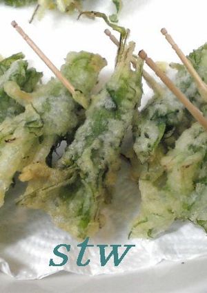 水菜のしそ巻き天-レシピのメイン写真
