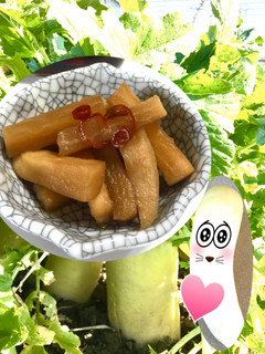 はりはり漬け天日干し大根 大量消費-レシピのメイン写真