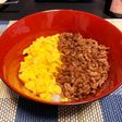 甘辛おいしい!たまごとひき肉二色そぼろ丼
