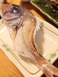 鯛の塩焼き-レシピのメイン写真