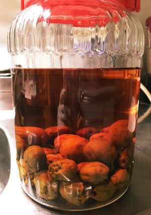 梅酒 覚書-レシピのメイン写真