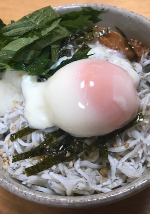 しらす丼　〜手に入ったシラスにて〜-レシピのメイン写真