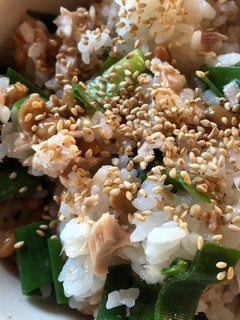 納豆とネギ(あおい部分)のご飯-レシピのメイン写真