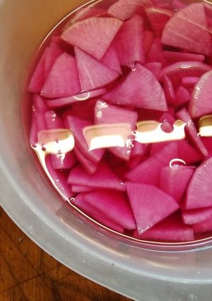 赤大根の酢漬け-レシピのメイン写真