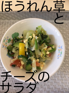 【保育園給食】ほうれん草とチーズのサラダ-レシピのメイン写真