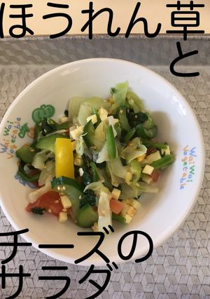 【保育園給食】ほうれん草とチーズのサラダ-レシピのメイン写真