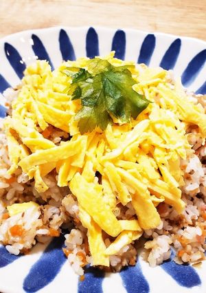 つけあげの混ぜご飯-レシピのメイン写真