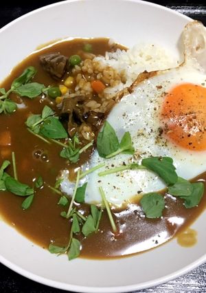 鳥モツ煮流用カレー…モツ4キロ生活4日目-レシピのメイン写真