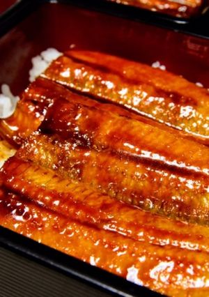 お家で生鰻からふわふわ焼き鰻のうな重-レシピのメイン写真