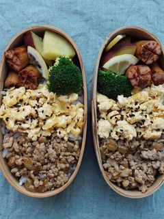 鶏そぼろと卵そぼろの二色ごはん-レシピのメイン写真