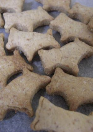 愛犬と一緒にプレーンクッキー-レシピのメイン写真