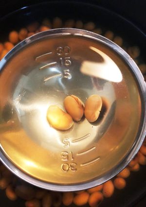大豆だし-レシピのメイン写真