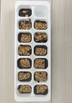 ローチョコバー-レシピのメイン写真
