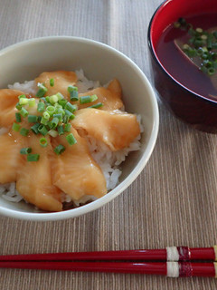 アブラツノザメの漬け丼-レシピのメイン写真