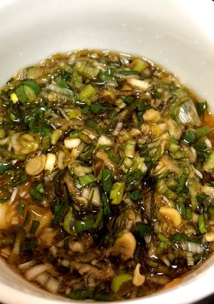 農家の長ネギオンリーで、ご飯のお供♪-レシピのメイン写真