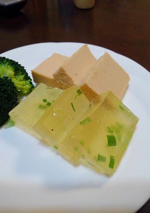 鳥だしとネギのゼリー寄せ-レシピのメイン写真