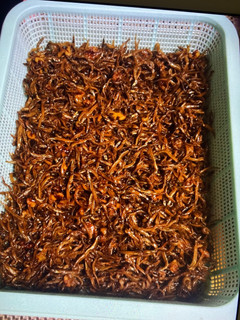 いかなごの釘煮 くるみ入り-レシピのメイン写真