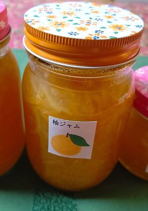 柚子ジャム-レシピのメイン写真