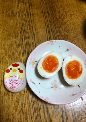 タマゴタイマーで作る半熟味玉-レシピのメイン写真